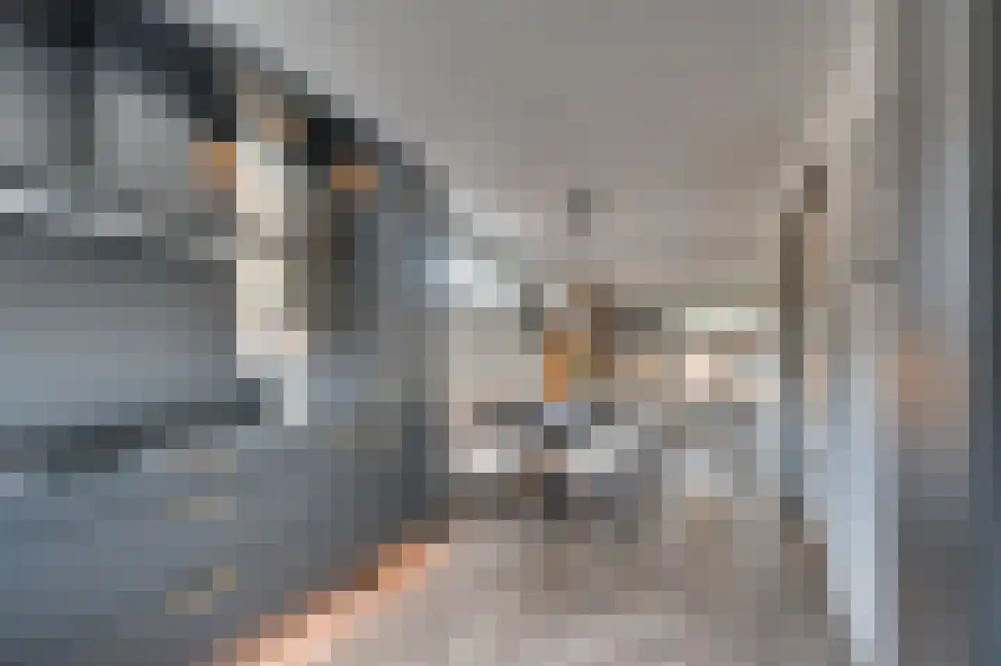 Nieuwborgstraat 129 Venlo thumbnail 16