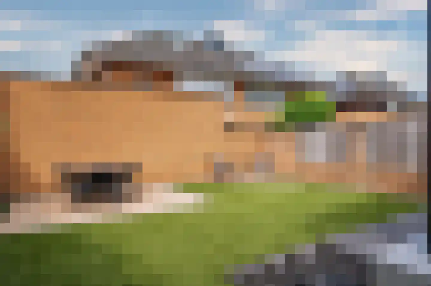 Nieuwborgstraat 129 Venlo thumbnail 47