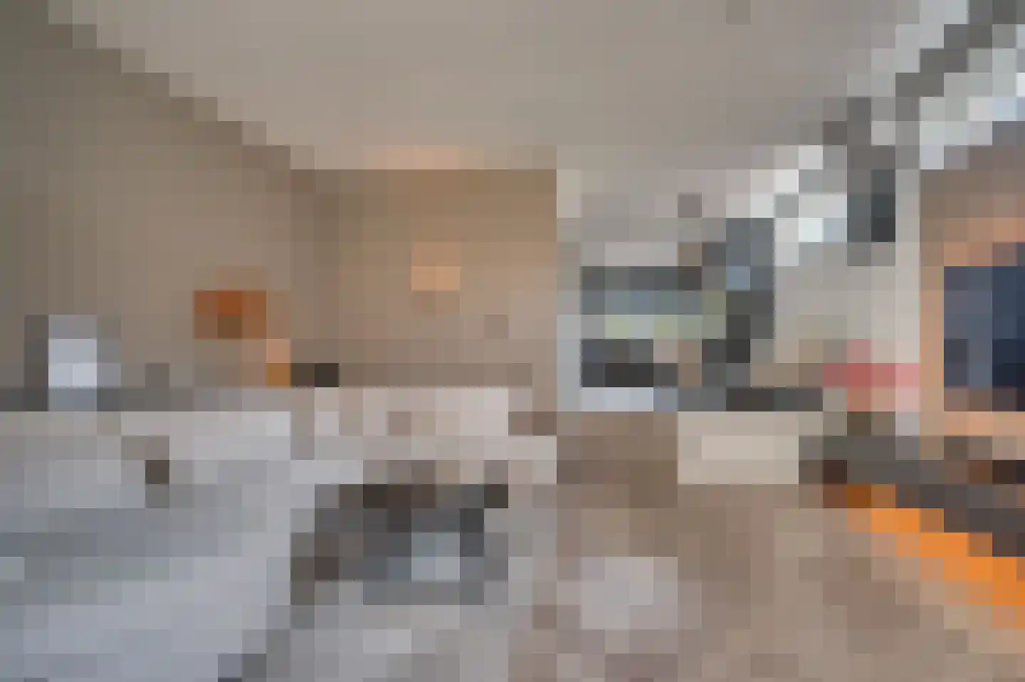 Nieuwborgstraat 129 Venlo thumbnail 8