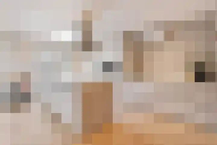 Nieuwborgstraat 43 Venlo thumbnail 8