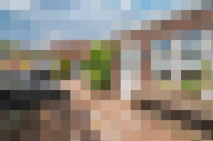 Nieuwborgstraat 59 Venlo thumbnail 38