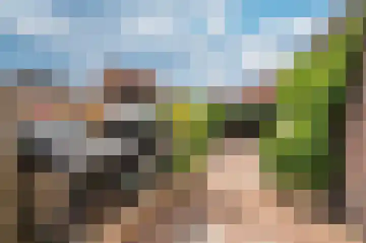 Nieuwborgstraat 59 Venlo thumbnail 39