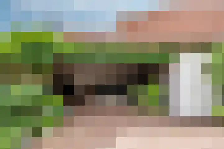 Nieuwborgstraat 59 Venlo thumbnail 43