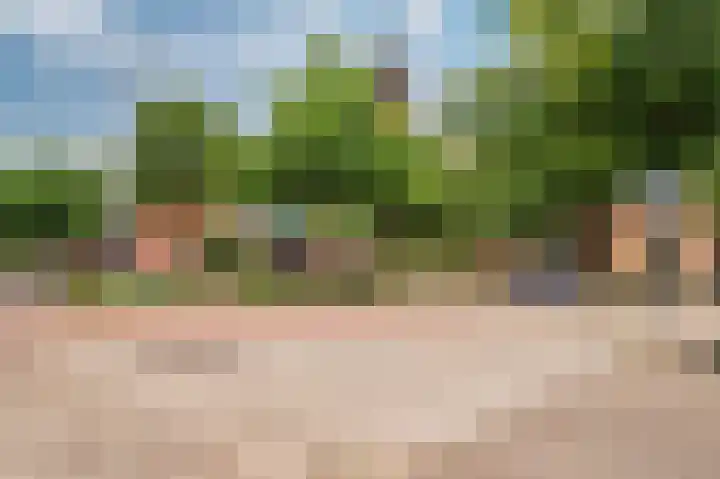 Nieuwborgstraat 59 Venlo thumbnail 55