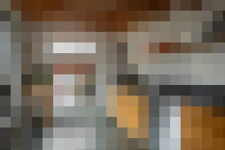 Nieuwbrugsterweg 1017 Den Horn thumbnail 16