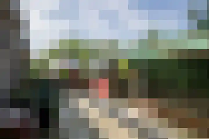 Nieuwbrugsterweg 1017 Den Horn thumbnail 28