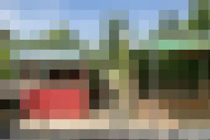 Nieuwbrugsterweg 1017 Den Horn thumbnail 31