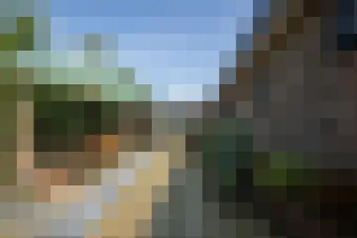 Nieuwbrugsterweg 1017 Den Horn thumbnail 32