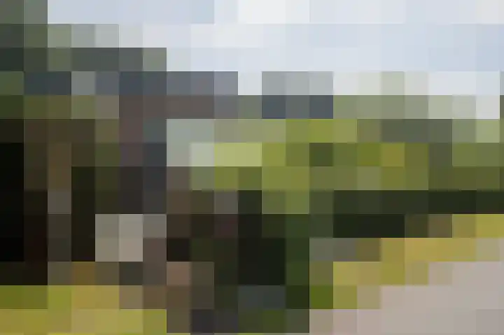 Nieuwbrugsterweg 1017 Den Horn thumbnail 38