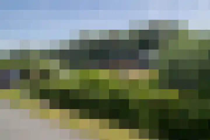 Nieuwbrugsterweg 1017 Den Horn thumbnail 39