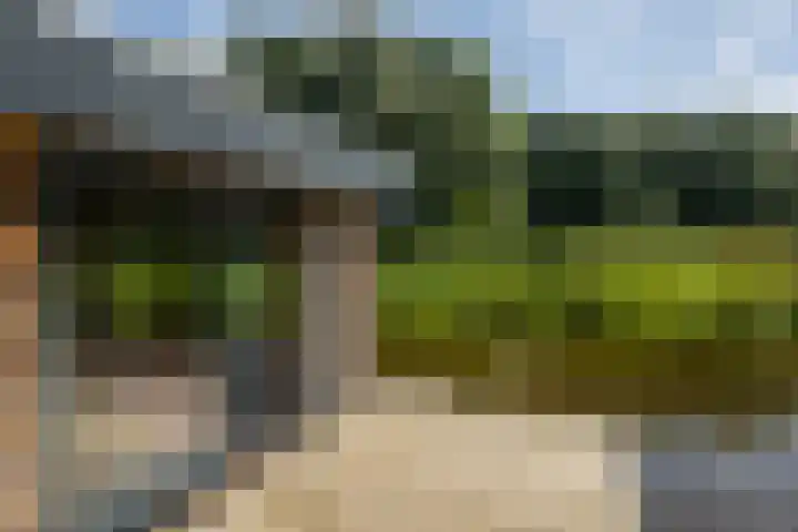 Nieuwbrugsterweg 1017 Den Horn thumbnail 41