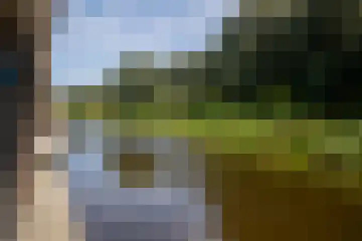 Nieuwbrugsterweg 1017 Den Horn thumbnail 42