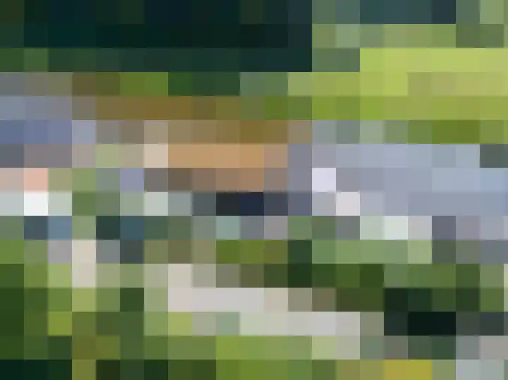 Nieuwbrugsterweg 1017 Den Horn thumbnail 44
