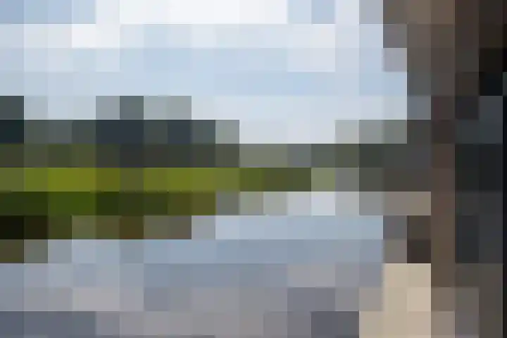 Nieuwbrugsterweg 1017 Den Horn thumbnail 5