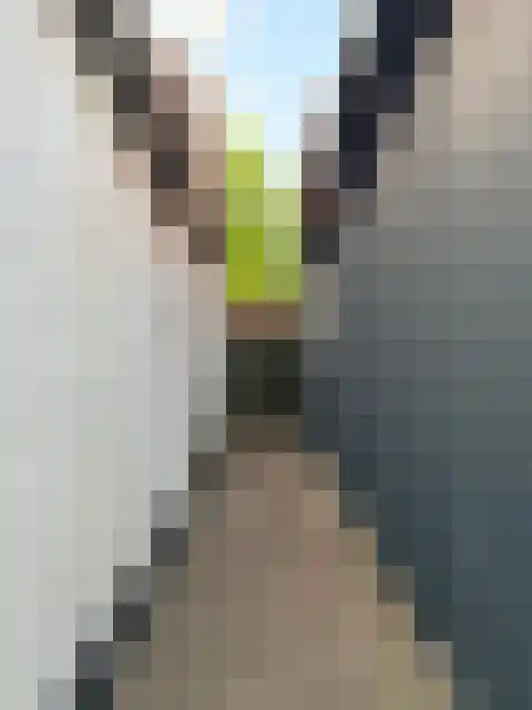 Nieuwburen 14 Heerenveen thumbnail 19
