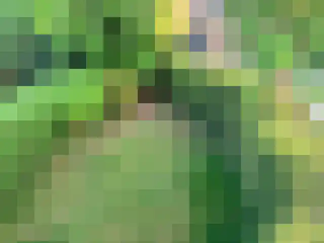 Nieuwburen 14 Heerenveen thumbnail 22
