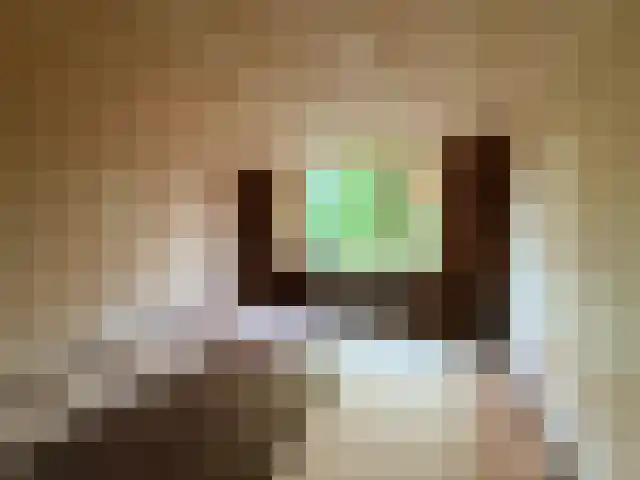 Nieuwburen 14 Heerenveen thumbnail 4