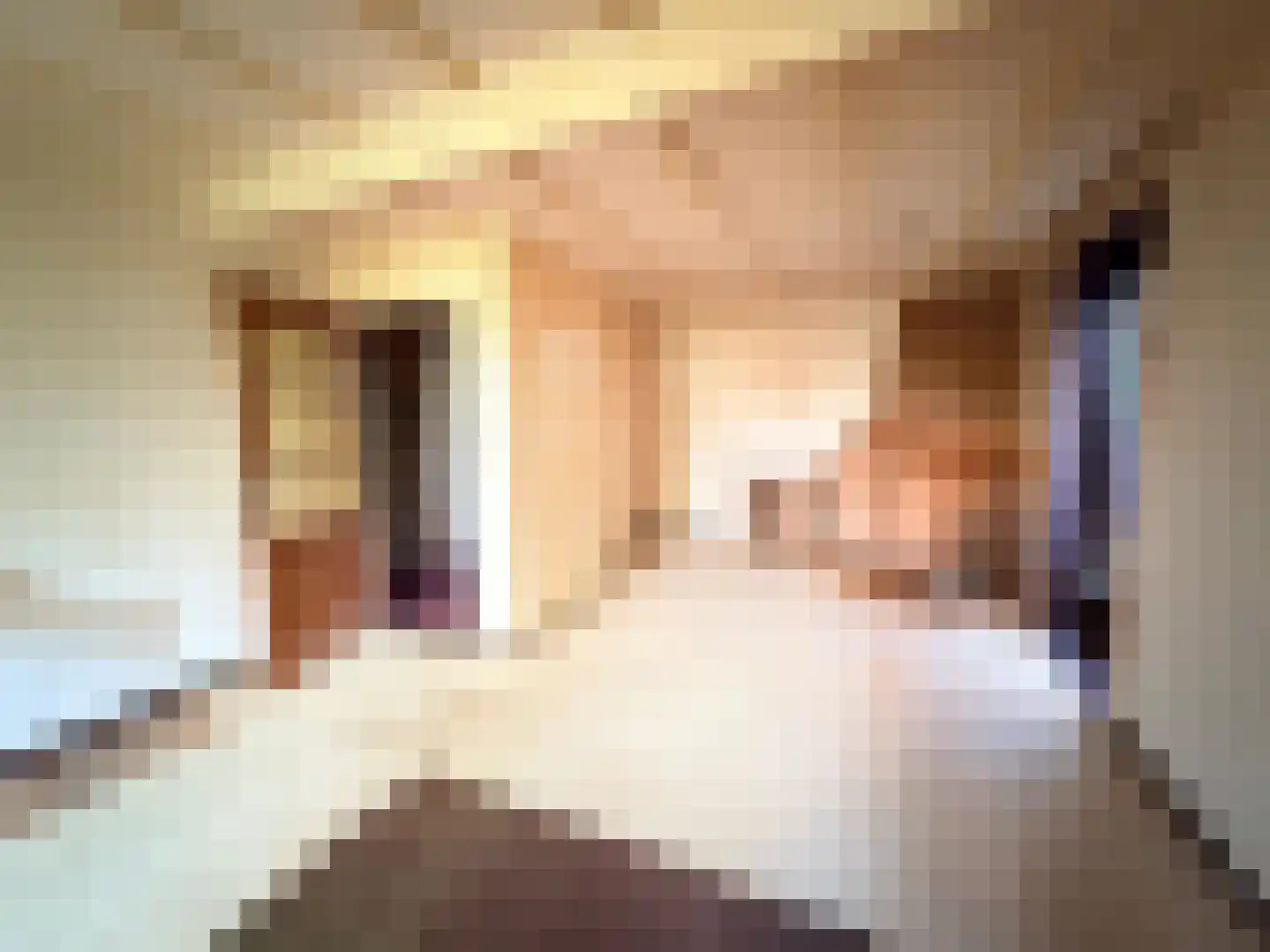 Nieuwburen 14 Heerenveen thumbnail 5