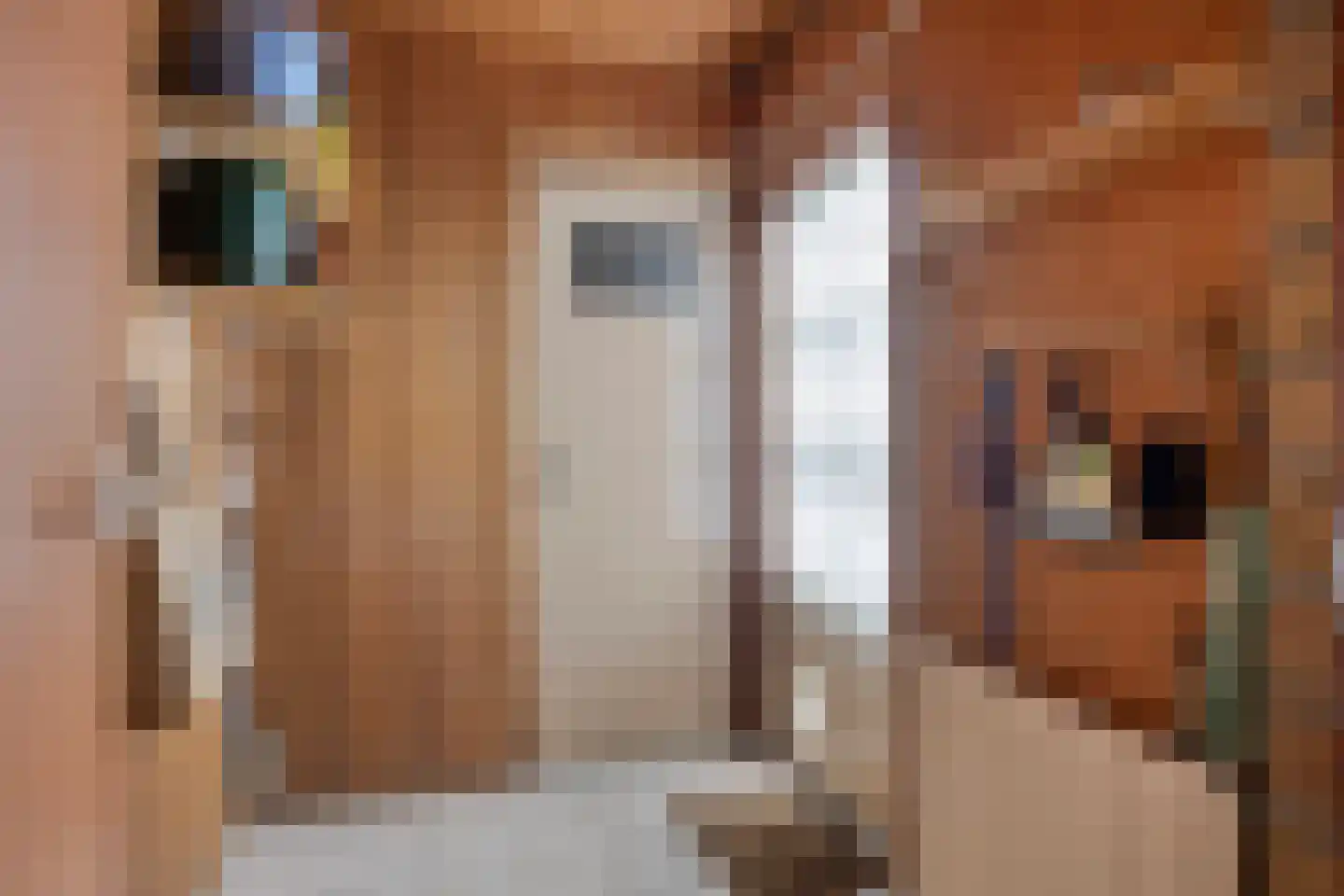 Nieuwburen 50 Heerenveen thumbnail 15