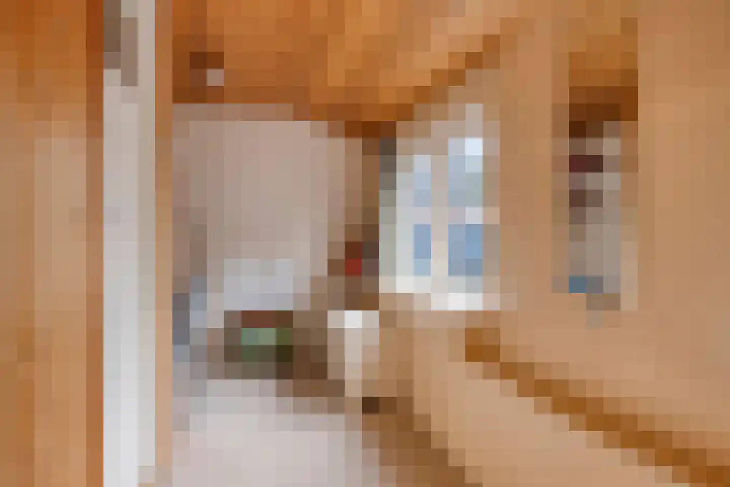 Nieuwburen 50 Heerenveen thumbnail 24