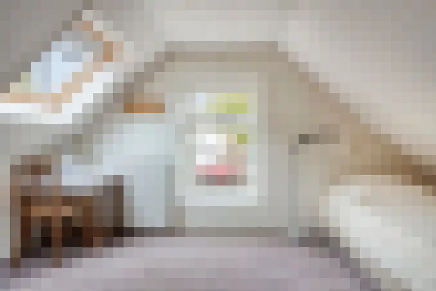Nieuwburen 50 Heerenveen thumbnail 25
