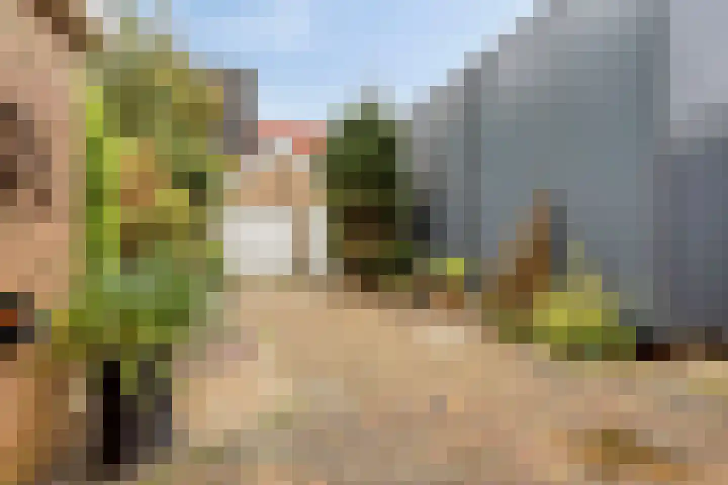 Nieuwburen 50 Heerenveen thumbnail 31