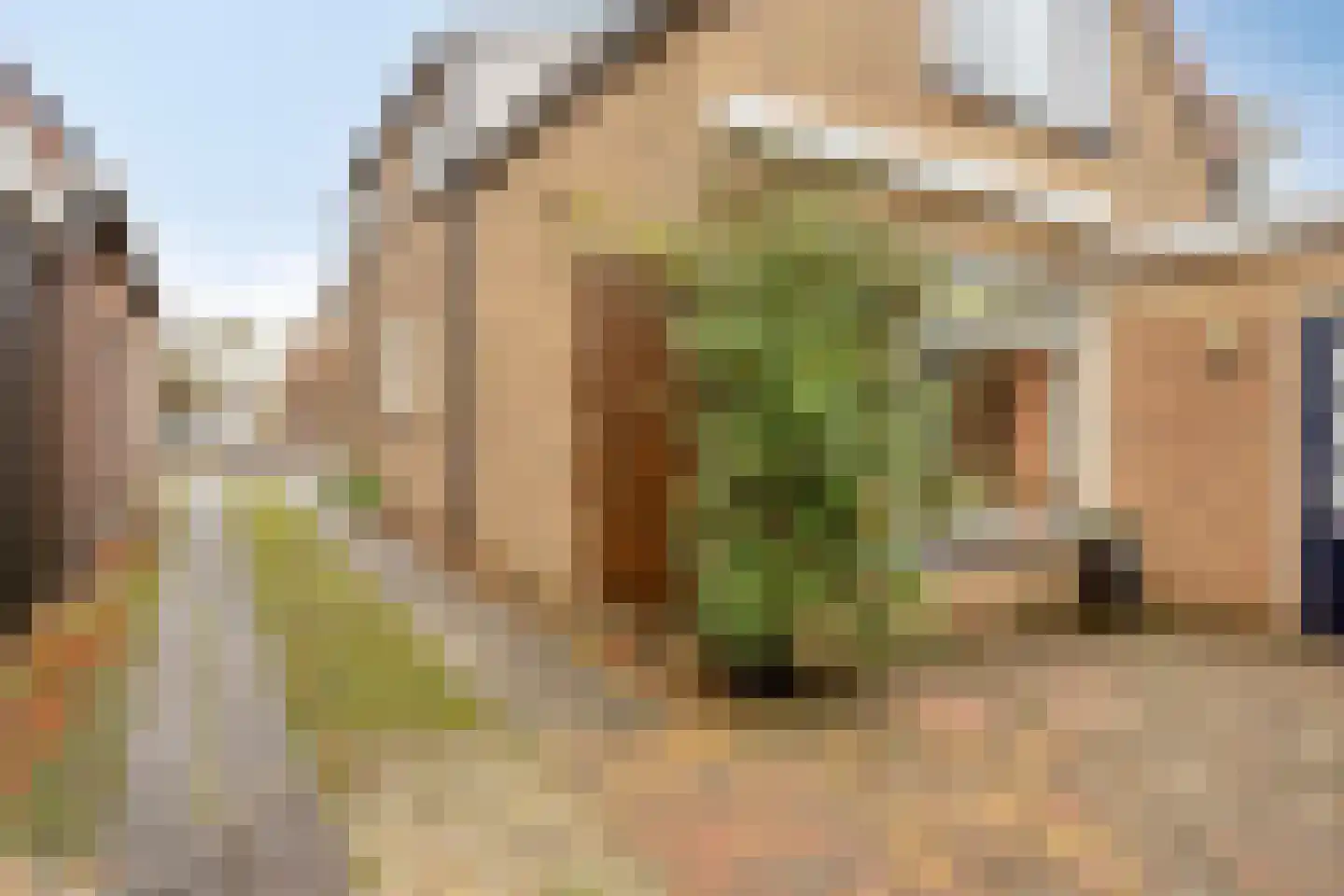 Nieuwburen 50 Heerenveen thumbnail 32