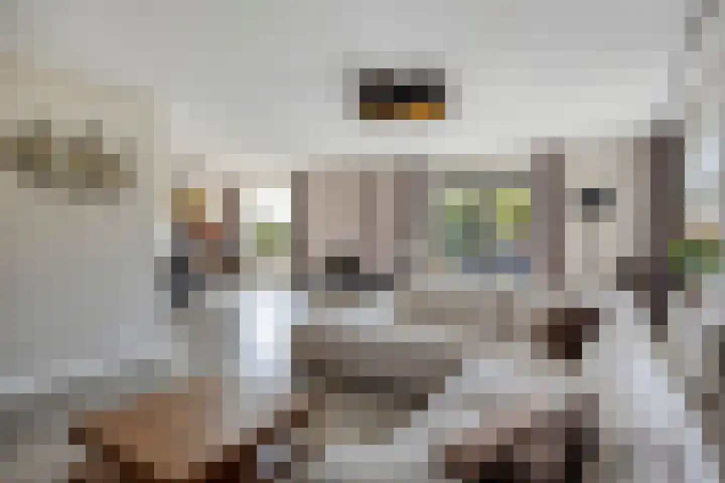 Nieuwdorperweg 29 c Reeuwijk thumbnail 14