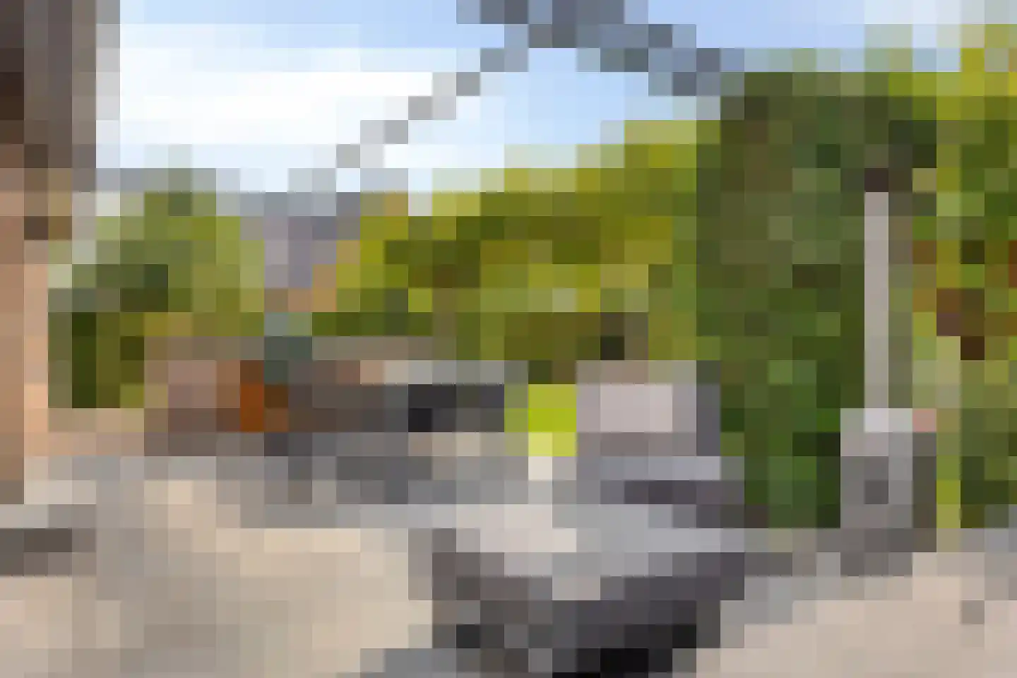 Nieuwdorperweg 29 c Reeuwijk thumbnail 25