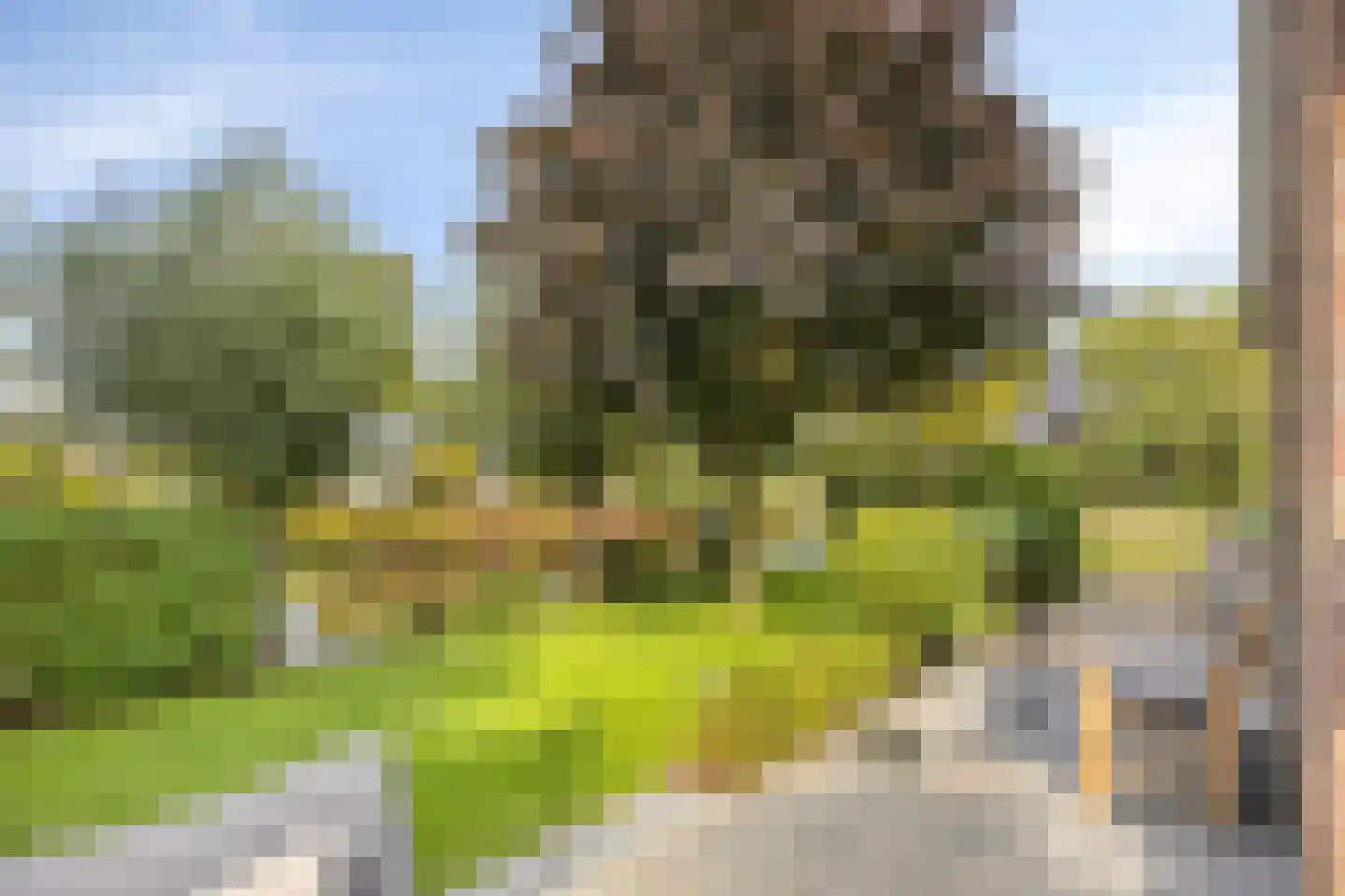 Nieuwdorperweg 29 c Reeuwijk thumbnail 26