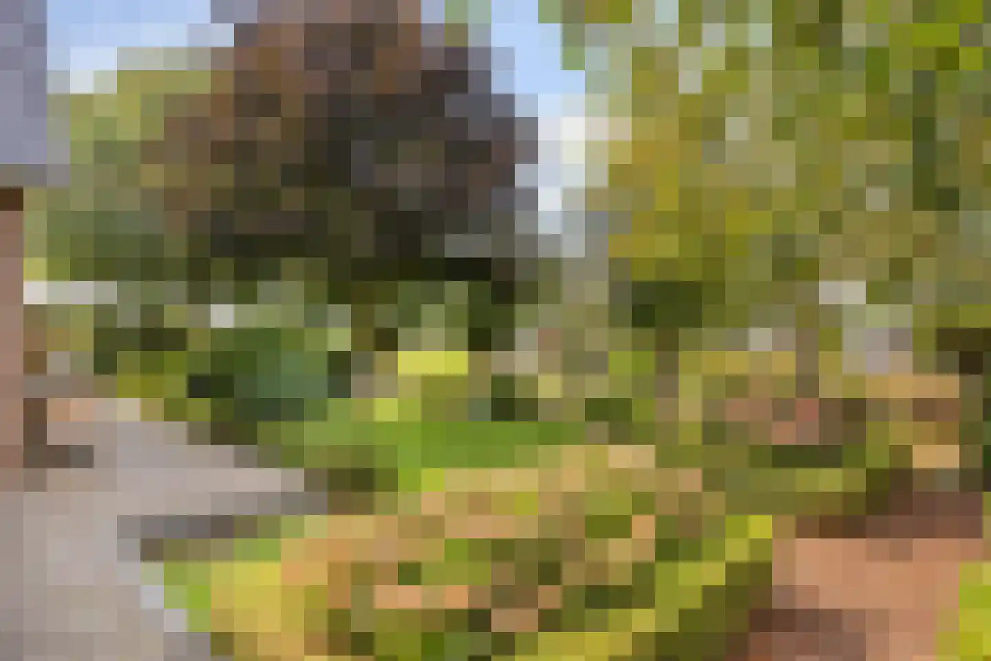 Nieuwdorperweg 29 c Reeuwijk thumbnail 27