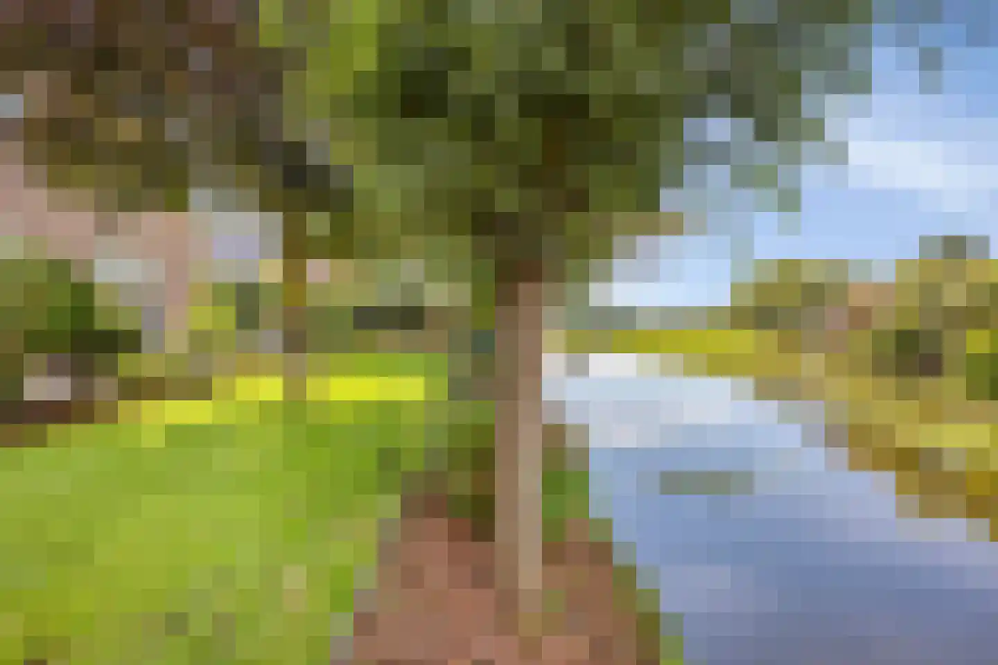 Nieuwdorperweg 29 c Reeuwijk thumbnail 28
