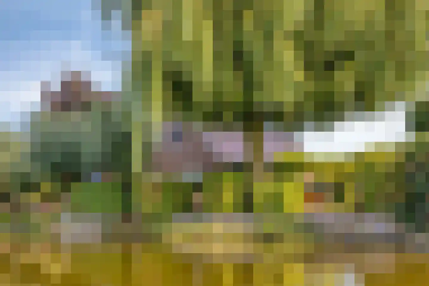 Nieuwdorperweg 29 c Reeuwijk thumbnail 32