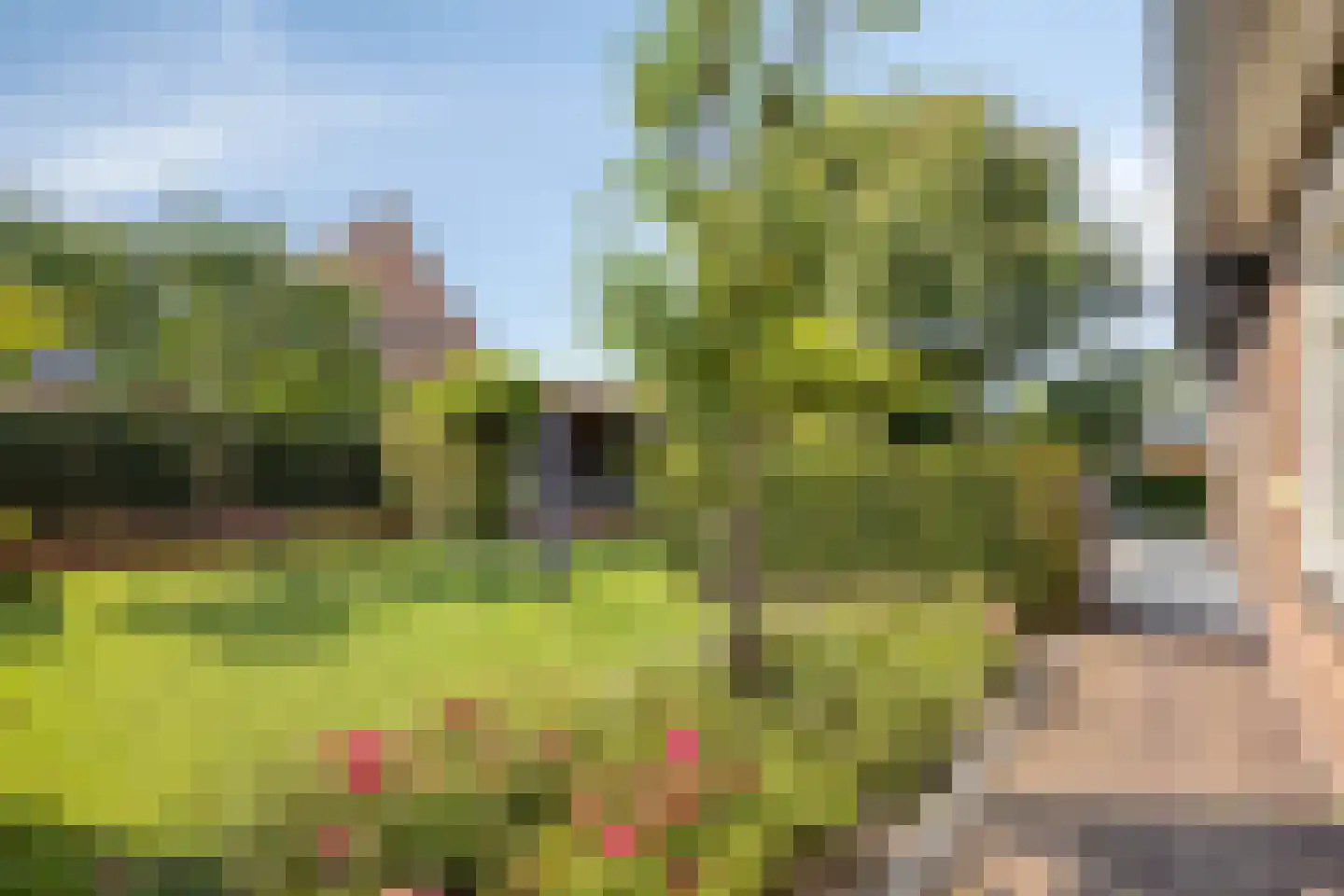 Nieuwdorperweg 29 c Reeuwijk thumbnail 35