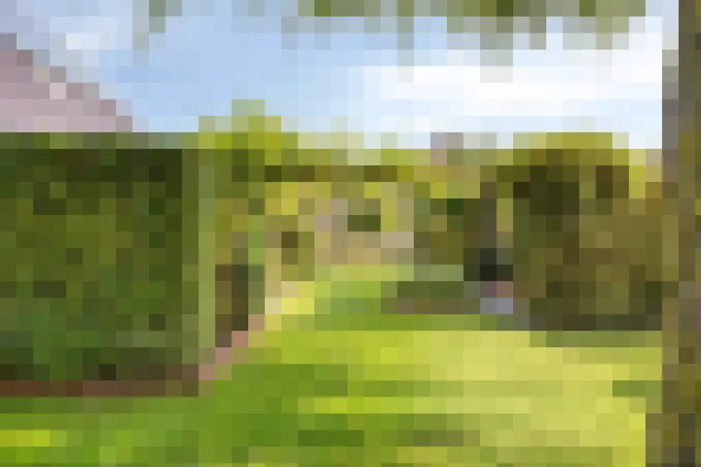 Nieuwdorperweg 29 c Reeuwijk thumbnail 37