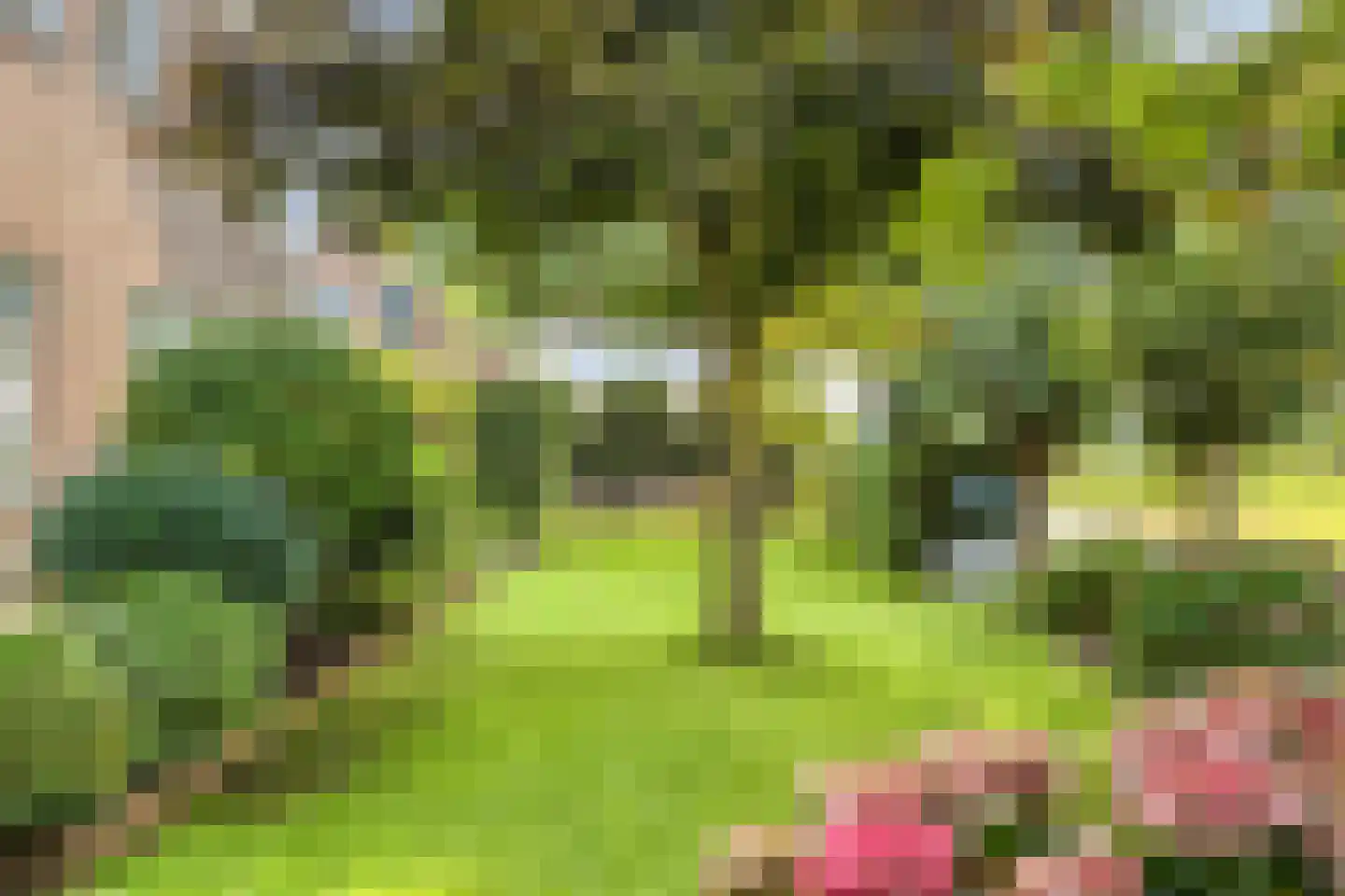 Nieuwdorperweg 29 c Reeuwijk thumbnail 38