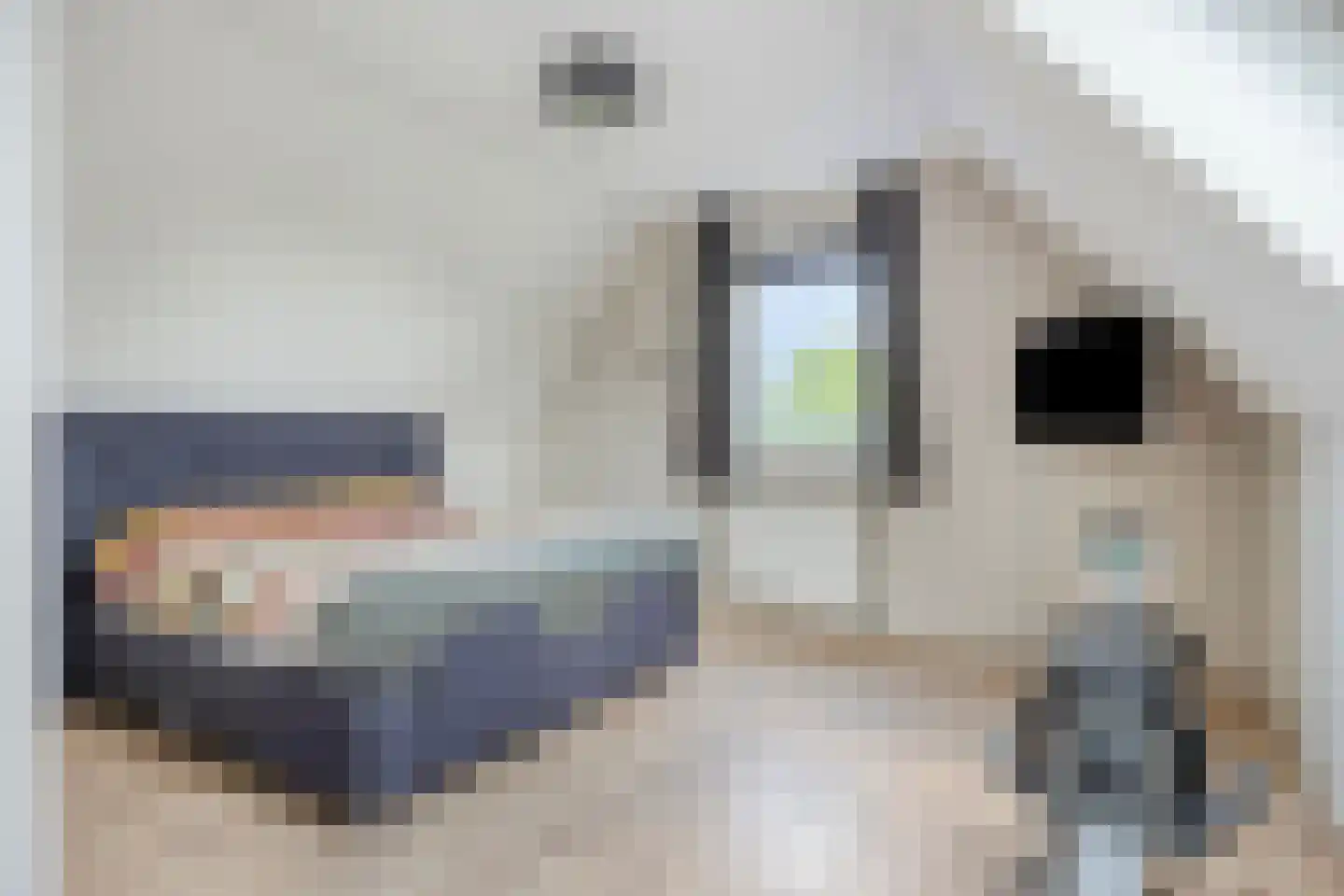 Nieuwdorperweg 29 c Reeuwijk thumbnail 41