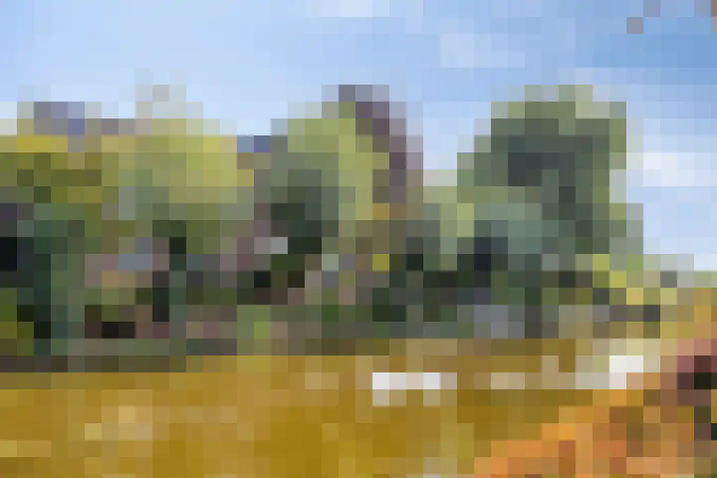 Nieuwdorperweg 29 c Reeuwijk thumbnail 5