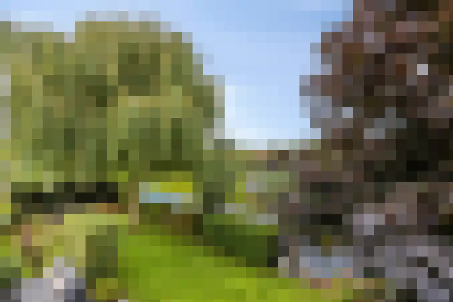 Nieuwdorperweg 29 c Reeuwijk thumbnail 56