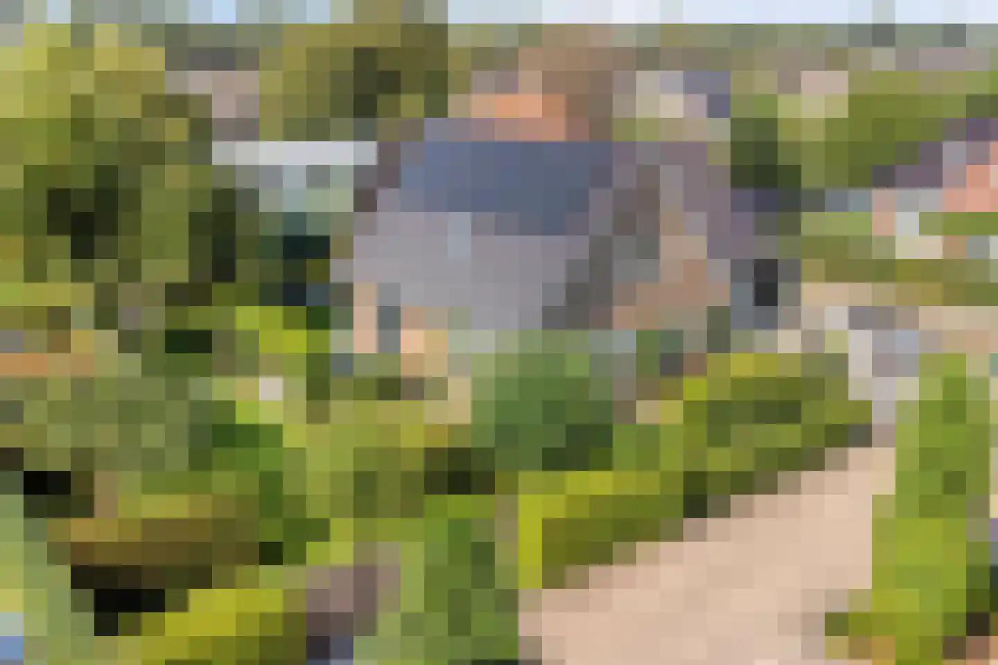 Nieuwdorperweg 29 c Reeuwijk thumbnail 61