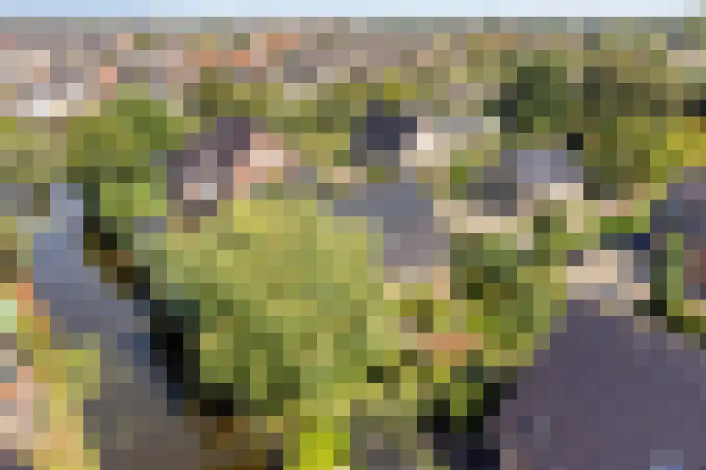 Nieuwdorperweg 29 c Reeuwijk thumbnail 62