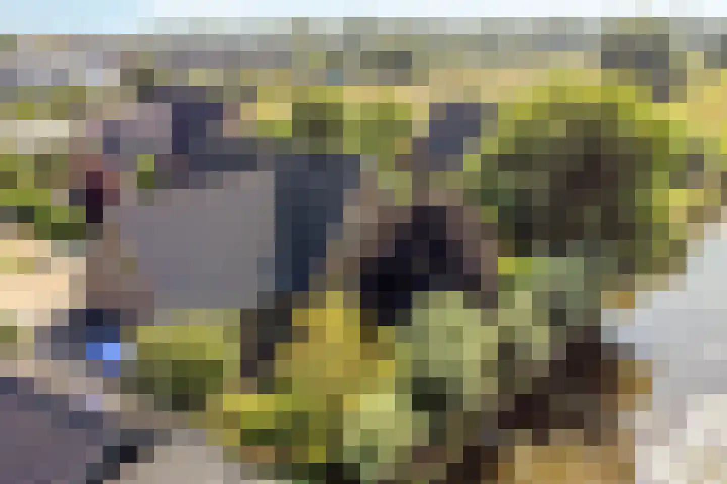 Nieuwdorperweg 29 c Reeuwijk thumbnail 63