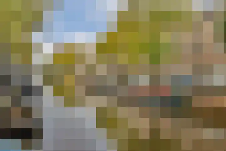 Nieuwe Achtergracht 103 3 Amsterdam thumbnail 14