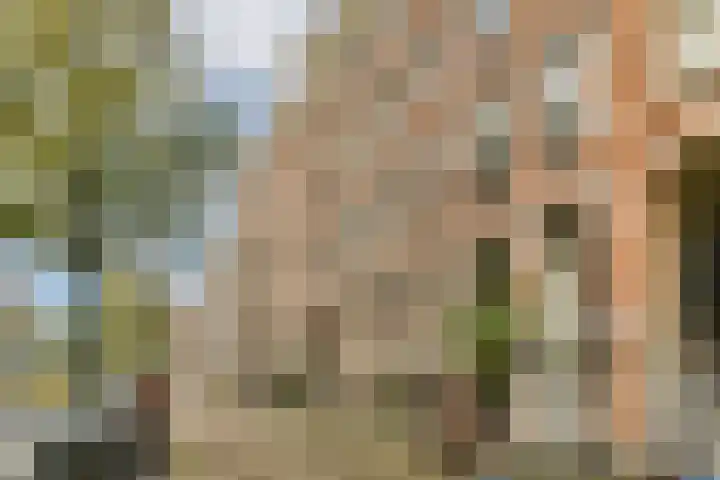 Nieuwe Achtergracht 103 3 Amsterdam thumbnail 18