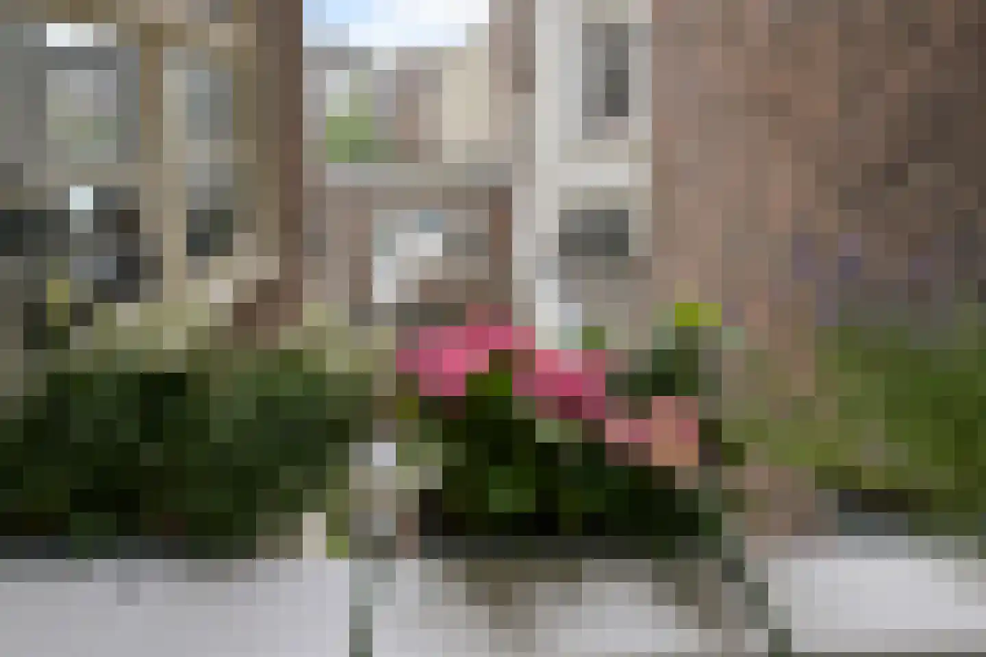 Nieuwe Achtergracht 106 H Amsterdam thumbnail 15