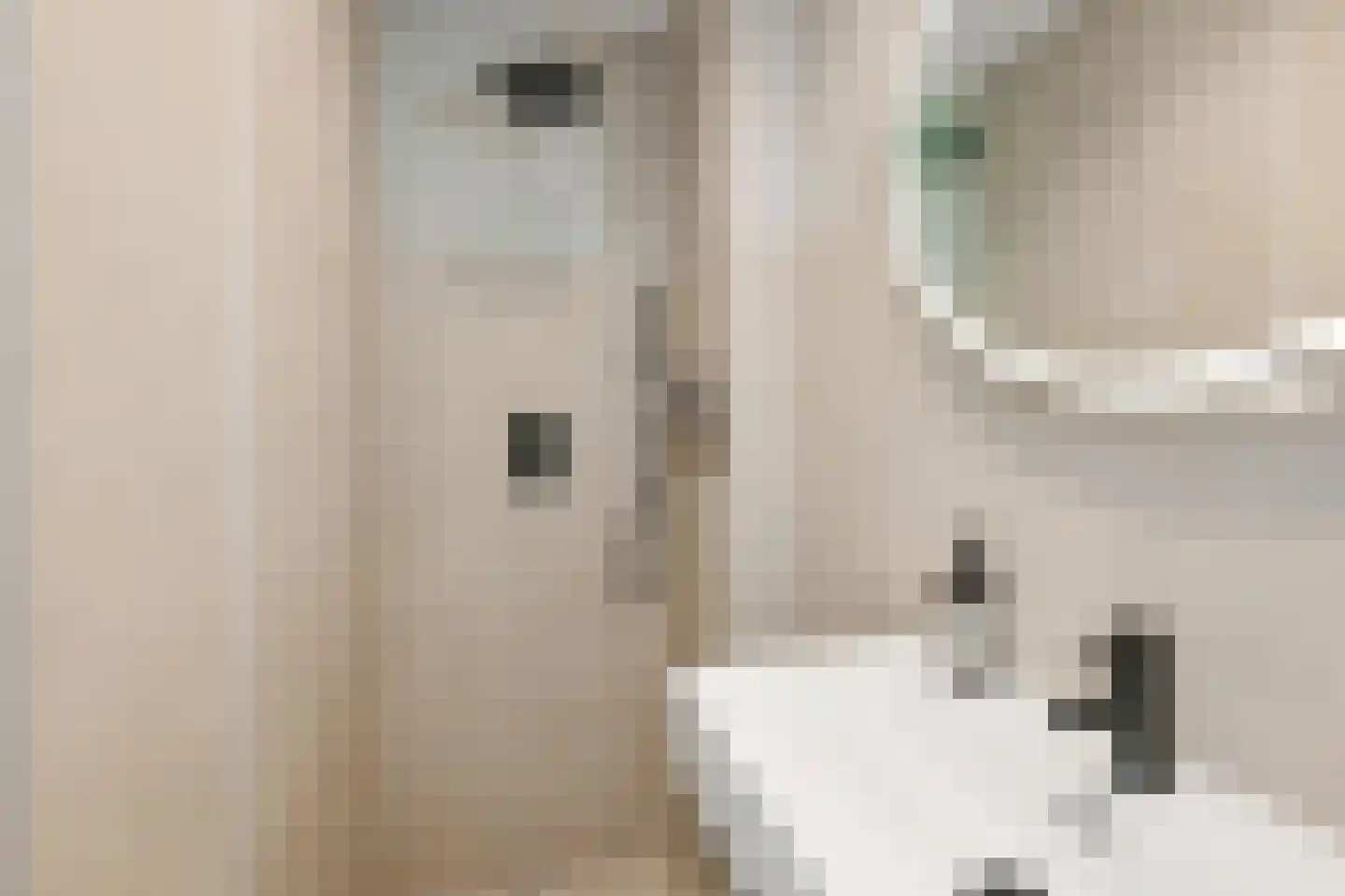 Nieuwe Achtergracht 106 H Amsterdam thumbnail 18