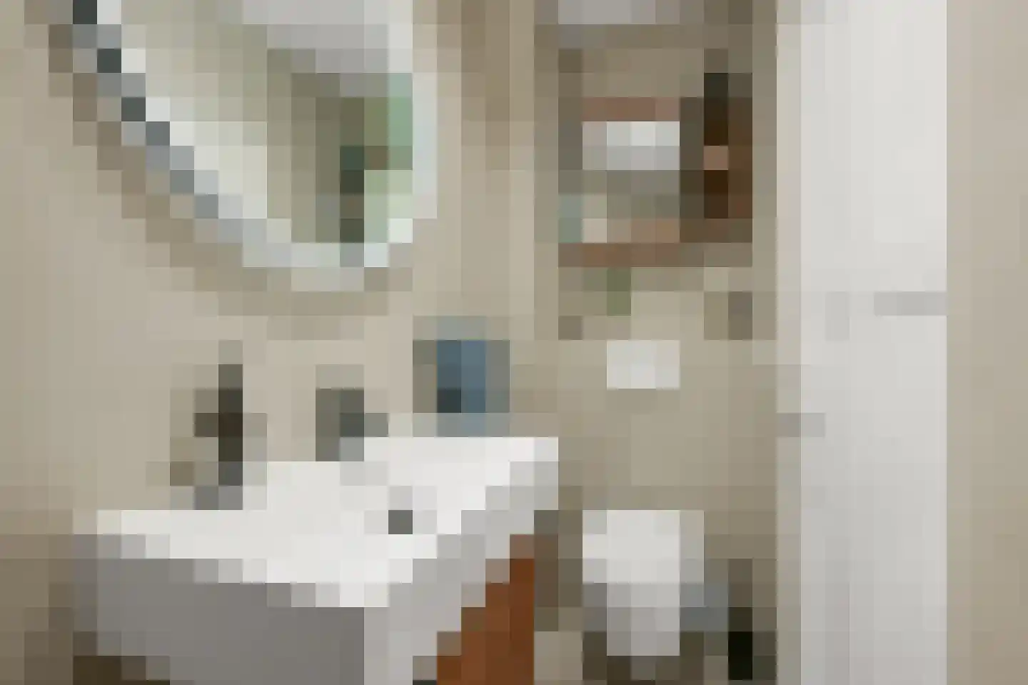 Nieuwe Achtergracht 106 H Amsterdam thumbnail 19