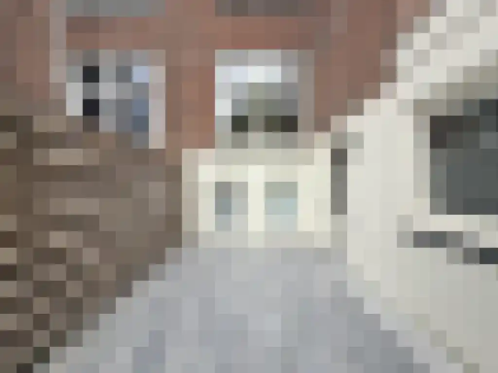 Nieuwe Achtergracht 109 Amsterdam thumbnail 4
