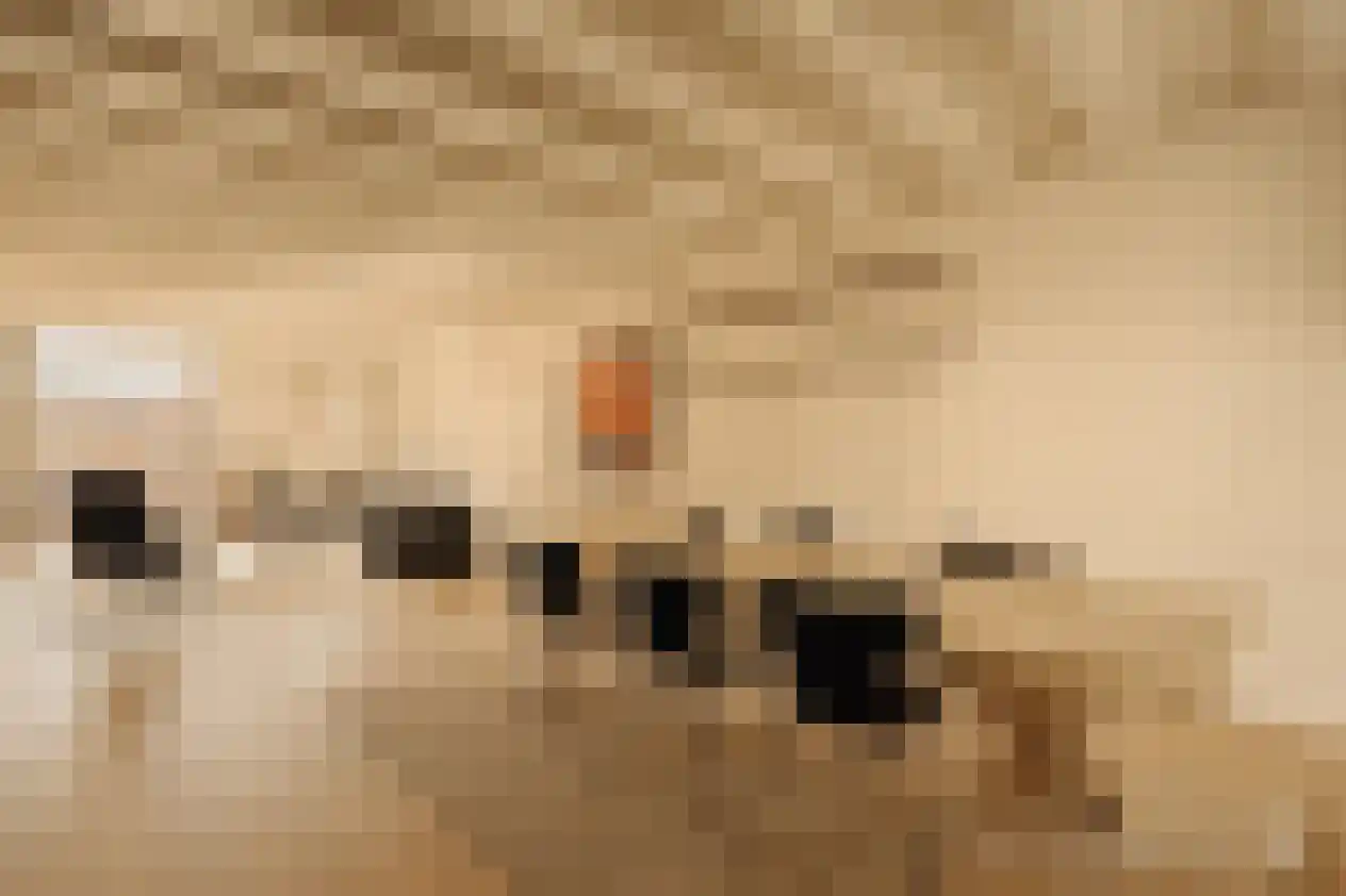 Nieuwe Achtergracht 11 2 Amsterdam thumbnail 10