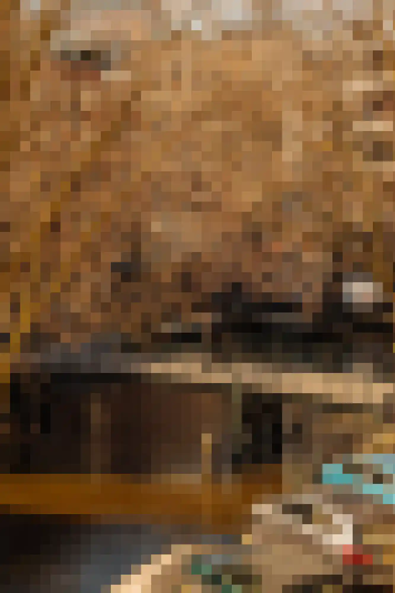 Nieuwe Achtergracht 11 2 Amsterdam thumbnail 17